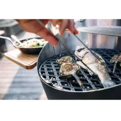 Grillrost Höfats Cone Gussrost -Campingbedarf Geschäft guss rost hoefats grillrost bratrost grillzubehoer campinggrill outdoor 1000 5 22409