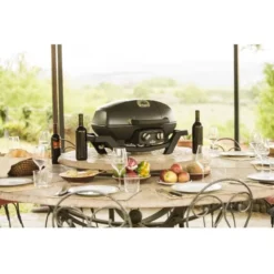 Mobiler Gasgrill Napoleon TravelQ PRO 285 -Campingbedarf Geschäft mobiler gasgrill napoleon travelq pro285 black gasgrills 9 10545